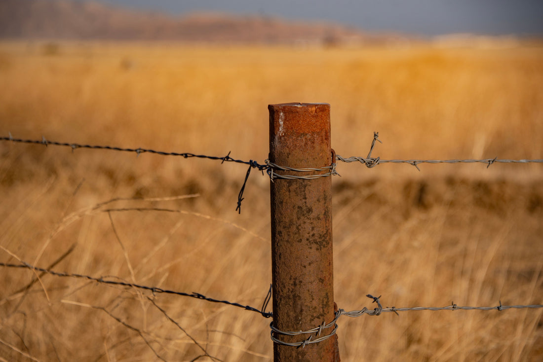 Govt gives underwhelming Water Strategy