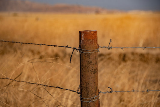 Govt gives underwhelming Water Strategy